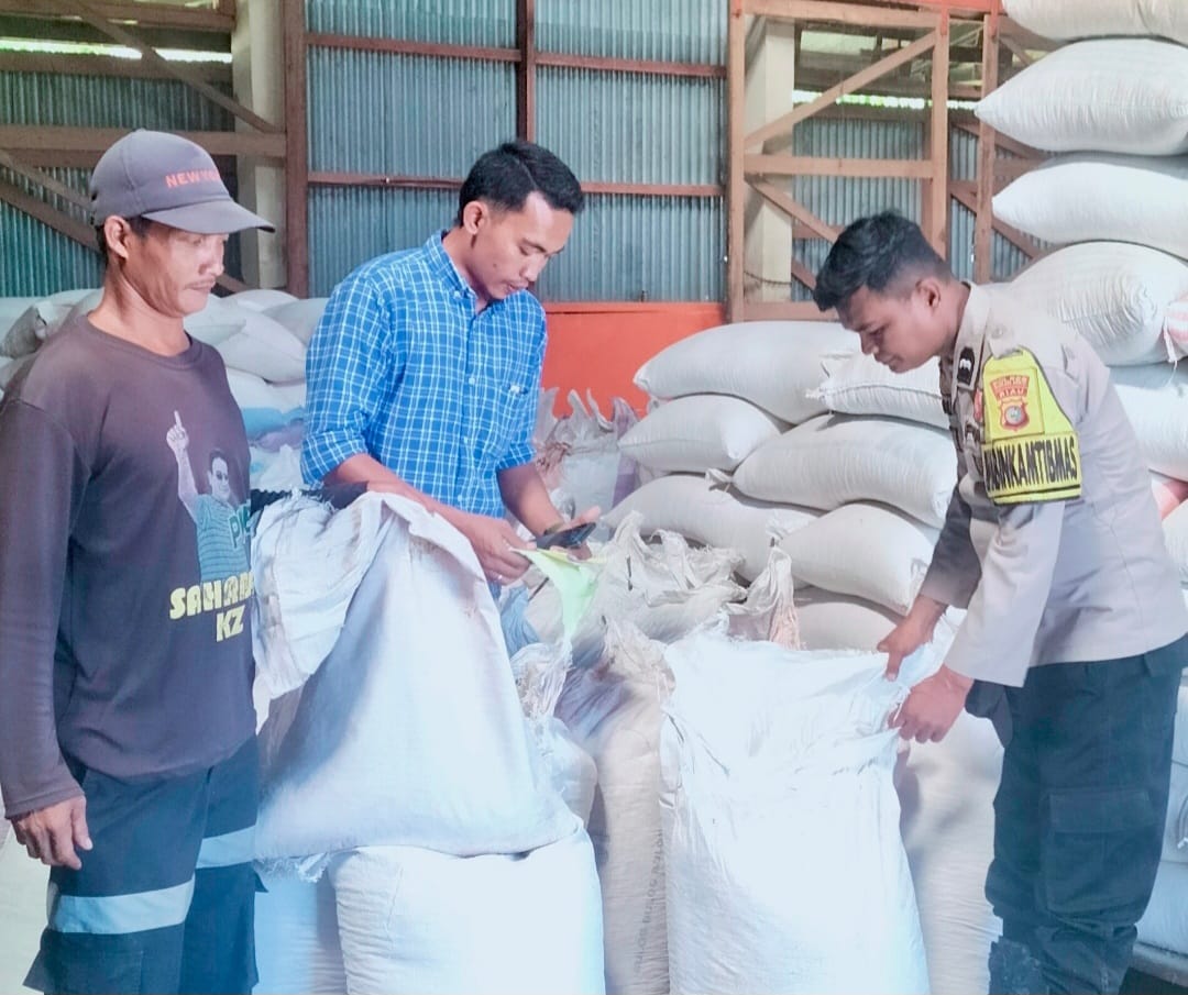 AKP Jon Heri: Polsek Tambusai Komitmen Kawal Jagung Petani Hingga ke Bulog