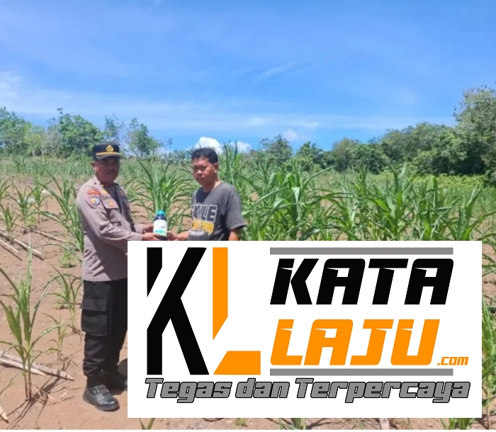 Polsek Tambusai Salurkan Bantuan Racun Hama untuk Dukung Ketahanan Pangan Petani Talikumain
